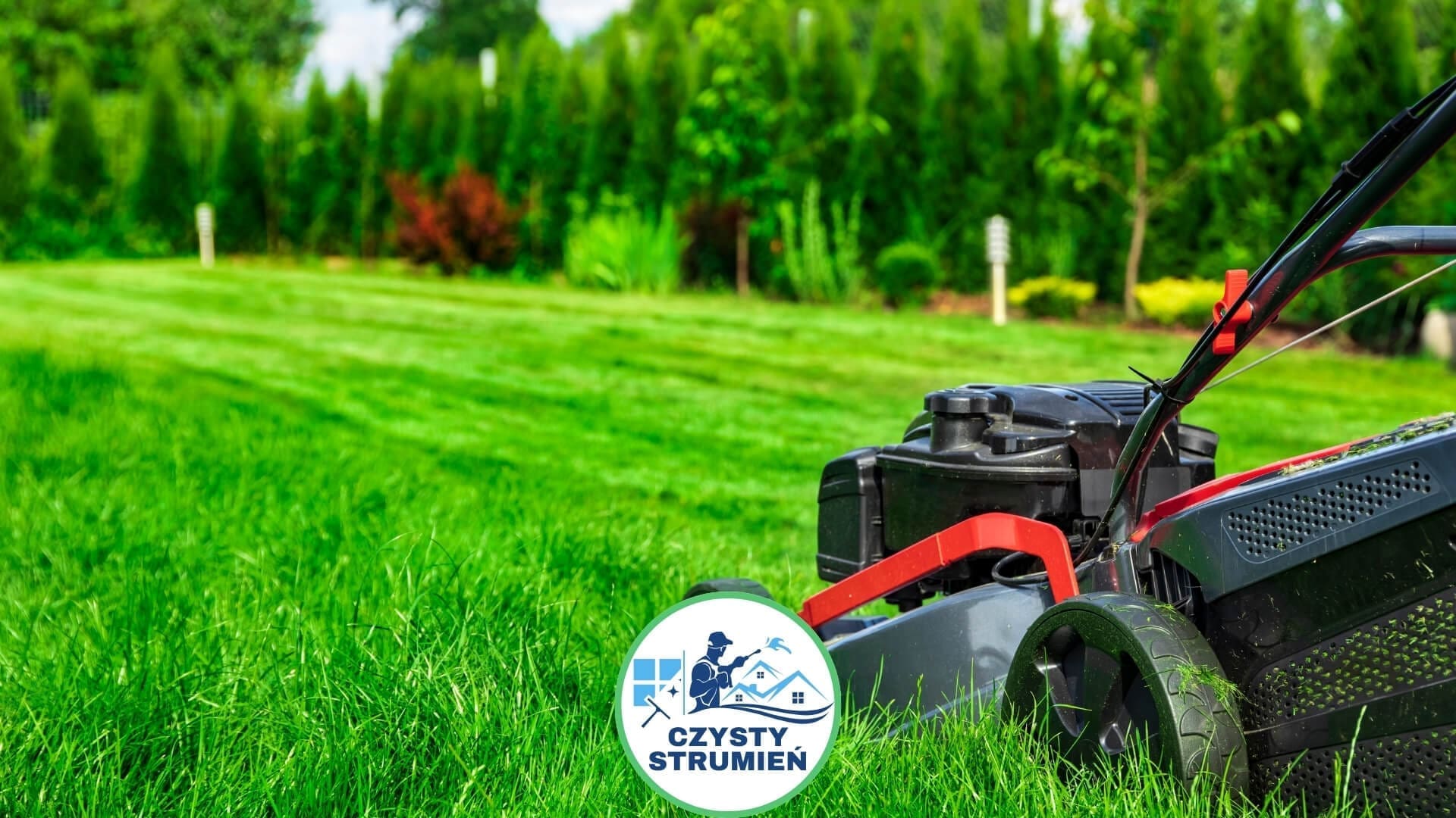 Jak i kiedy kosić trawnik? Praktyczny poradnik!