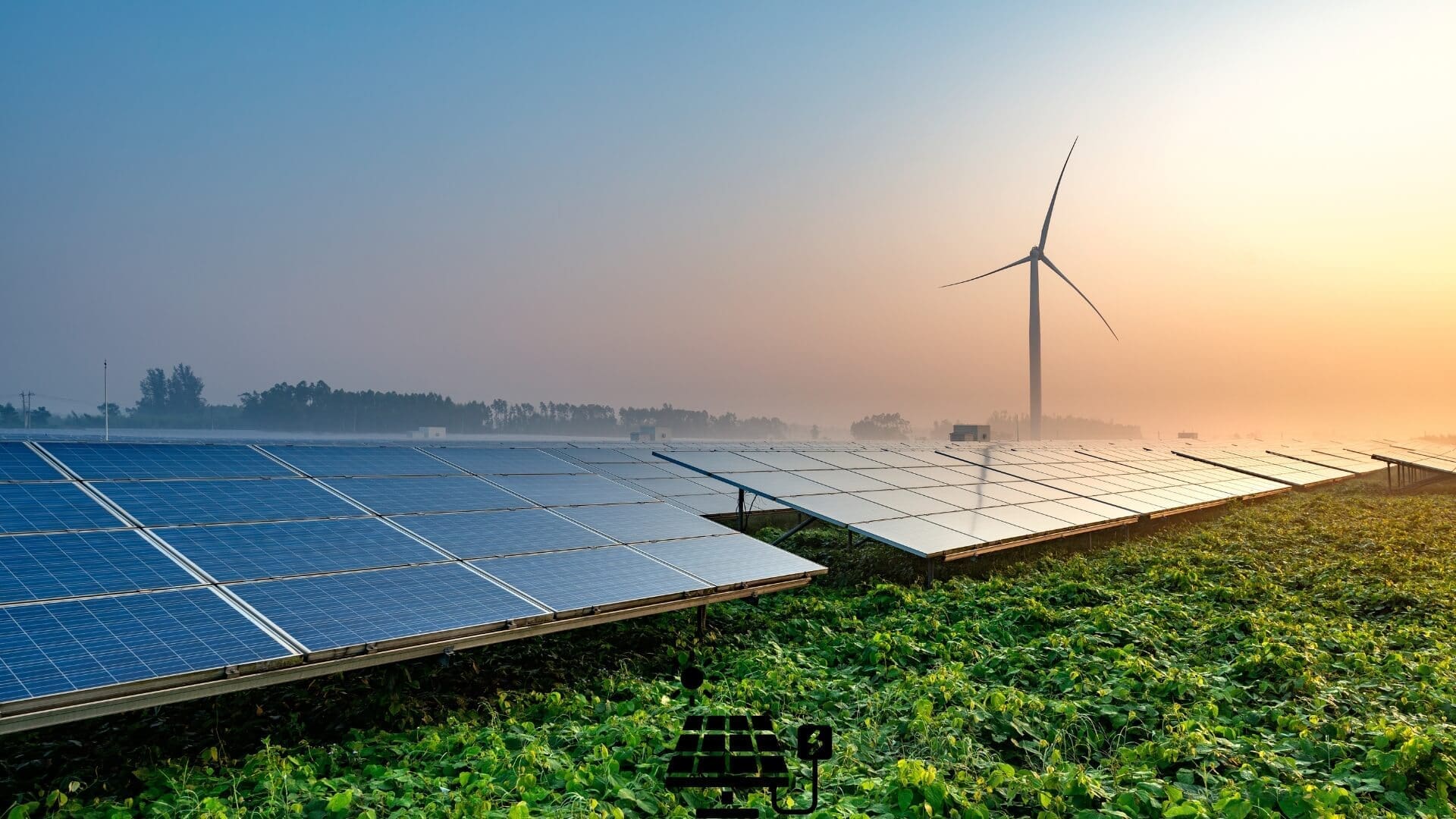 Fotowoltaika w Zakładach Produkcyjnych jak Pieczarkarnie i Kurnikarnie