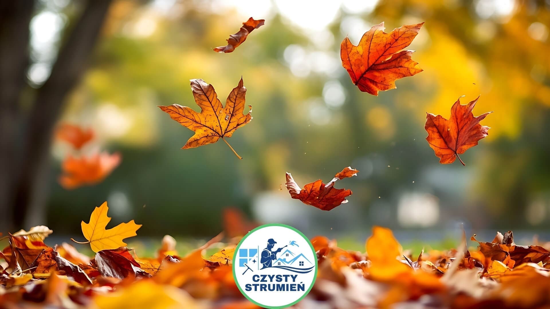 Jak skutecznie radzić sobie z opadłymi liśćmi jesienią?