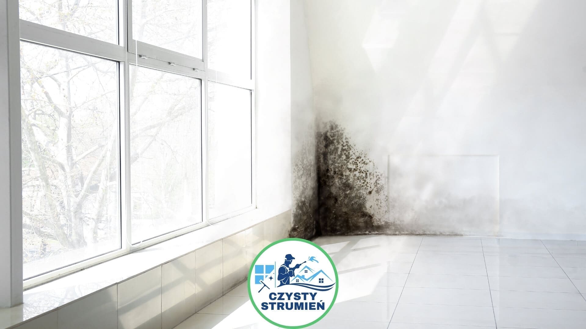 Jakie są przyczyny pojawienia się grzyba w domu i jak go usunąć?