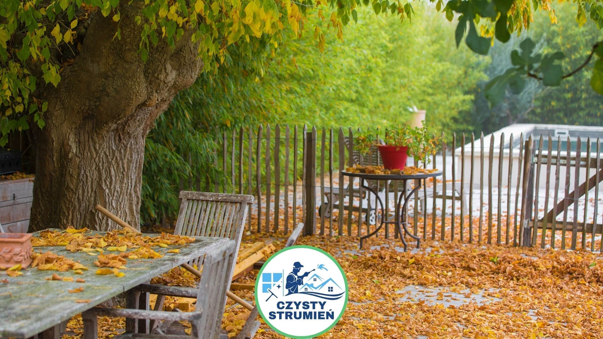 Prace w ogrodzie, które trzeba wykonać jesienią